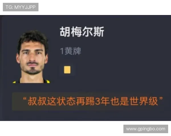 博尼法斯力量型中锋模板如何撕裂防线